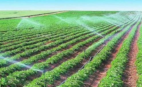 操女人的逼农田高 效节水灌溉